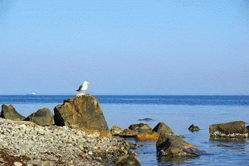 Пансионат Моряк в Дюрсо