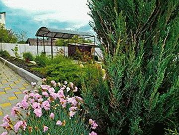 Гостевой дом Ладья в Геленджике