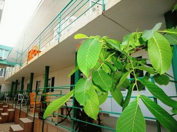 Дворик Джемете