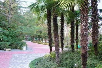 Санаторий Беларусь в Сочи