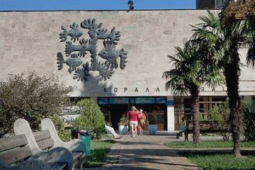 Санаторий Коралл в Сочи