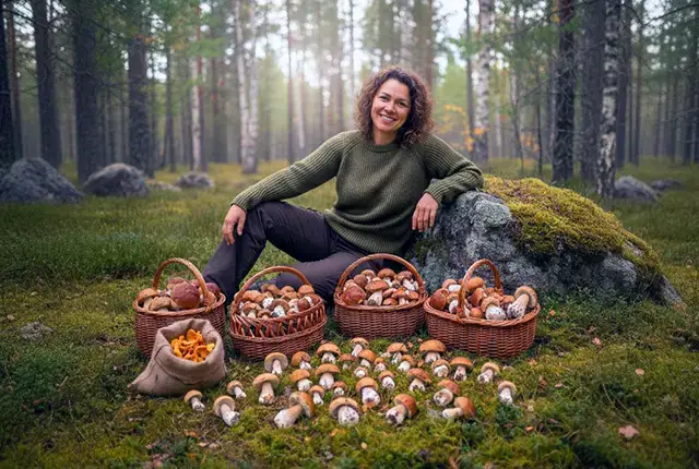 Грибы Краснодарского края Грибы Краснодарского края