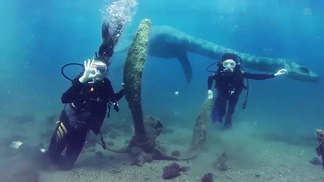 Морскиой змей под водой
