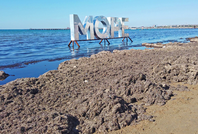 Водоросли на пляже в Анапе