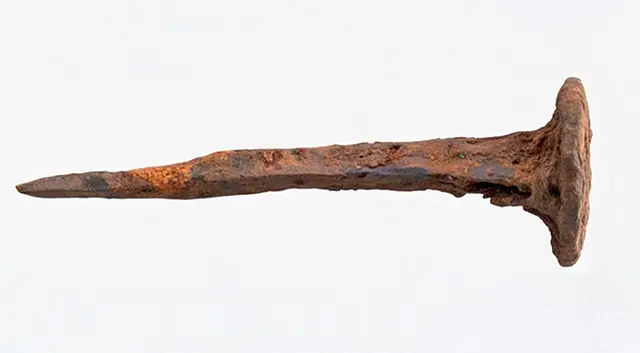 Ископаемый гвоздь Ископаемый гвоздь